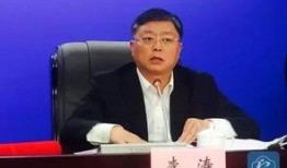 武汉姚军最新爆料新闻,揭秘XX事件背后真相